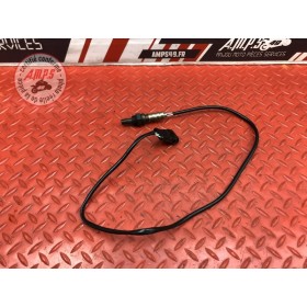 Sonde lambda Ducati 848 SBK 2008 à 2013