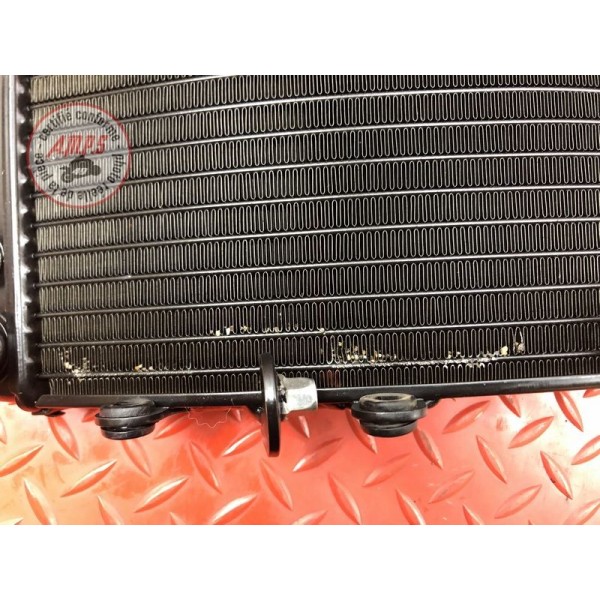 Radiateur d'eau MV-Agusta 800 Brutale RR 2017 à 2025