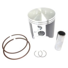 Piston moulé dm 71.95 ATHENA