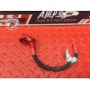 Cable de batterie Ducati 797 Monster 2017 à 2019