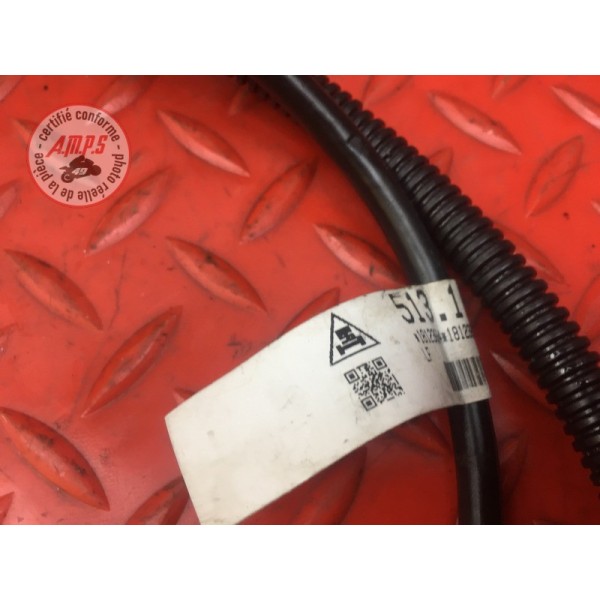 Cable de masse Ducati 797 Monster 2017 à 2019