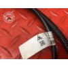 Cable de masse Ducati 797 Monster 2017 à 2019