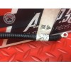 Cable de masse Ducati 797 Monster 2017 à 2019