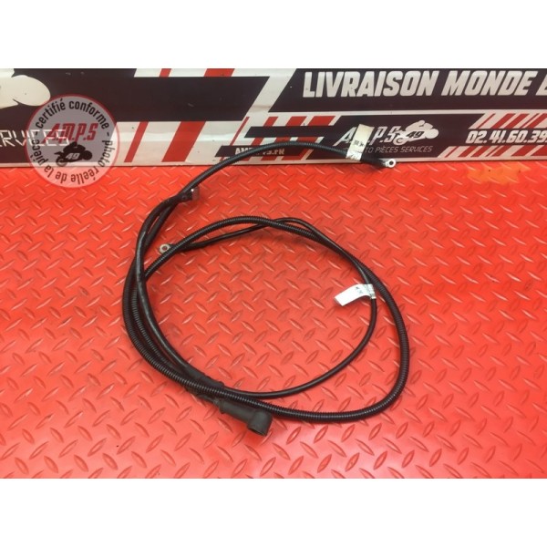 Cable de masse Ducati 797 Monster 2017 à 2019