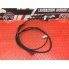 Cable de masse Ducati 797 Monster 2017 à 2019