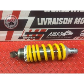 Amortisseur arrière 