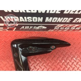 Ecope de radiateur gauche 