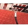 Cable de masse Triumph 675 Street Triple R 2007 à 2010