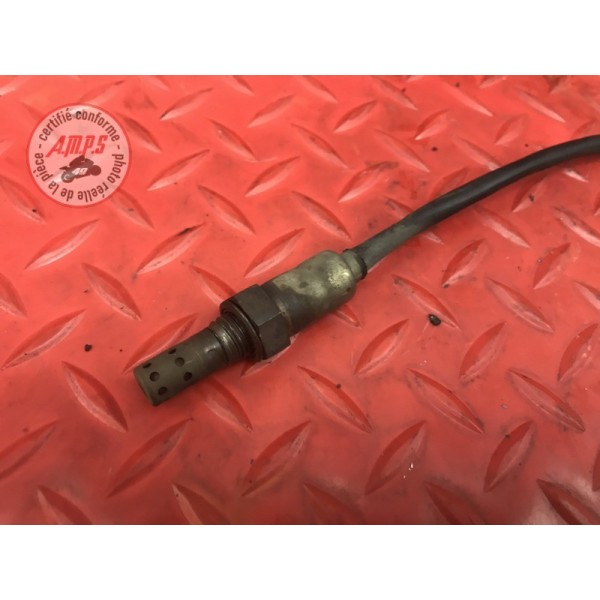 Sonde lambda Triumph 675 Street Triple R 2007 à 2010