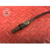 Sonde lambda Triumph 675 Street Triple R 2007 à 2010