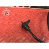 Cable d'embrayage Triumph 675 Street Triple R 2007 à 2010