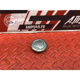 Bouchon d'axe de bras oscillant Yamaha FJR 1300 A 2013 à 2015