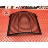 Grille de radiateur Yamaha FJR 1300 A 2013 à 2015