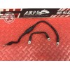 Cable de masse BMW 1800 R 18 Roctane 2023 à 2025