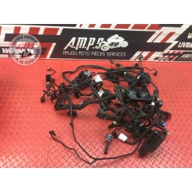 Faisceau électrique principale