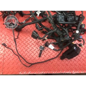 Faisceau électrique principale 