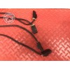 Sonde lambda BMW 1800 R 18 Roctane 2023 à 2025