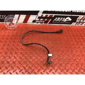 Cable de masse Triumph 1050 Sprint ST 2005 à 2010
