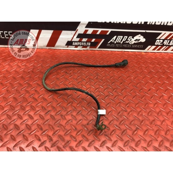 Cable de masse Triumph 1050 Sprint ST 2005 à 2010