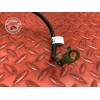 Cable de masse Triumph 1050 Sprint ST 2005 à 2010