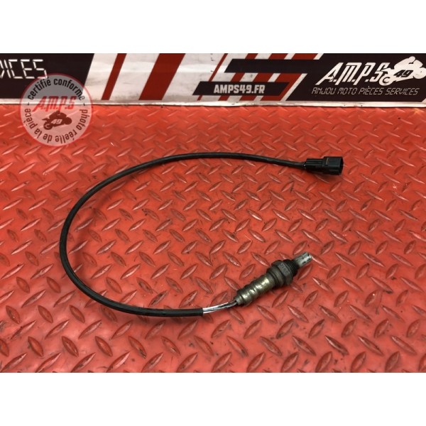 Sonde lambda Triumph 1050 Sprint ST 2005 à 2010
