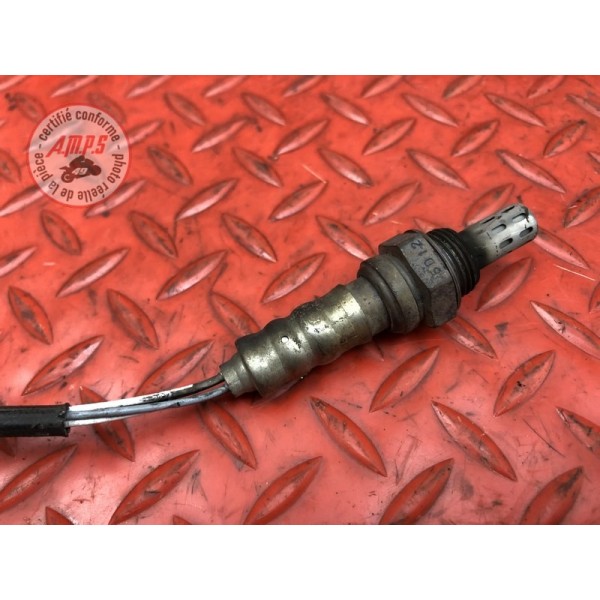 Sonde lambda Triumph 1050 Sprint ST 2005 à 2010