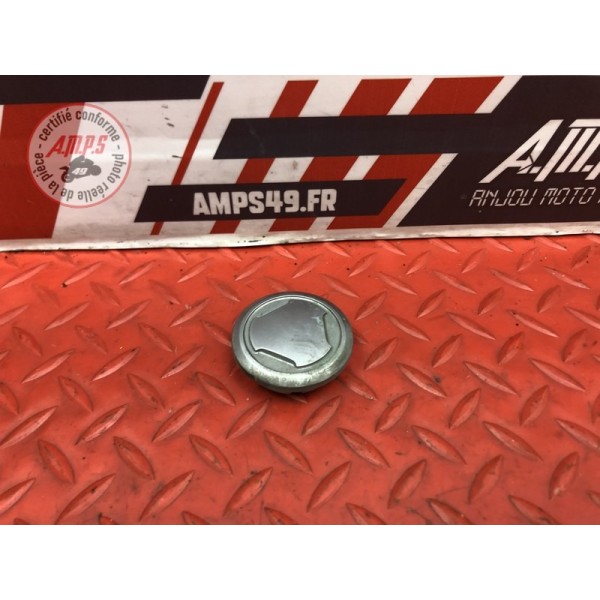 Bouchon d'axe de bras oscillant Yamaha FJR 1300 A 2013 à 2015