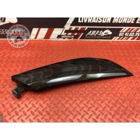 Cache sur flanc de carénage droit 