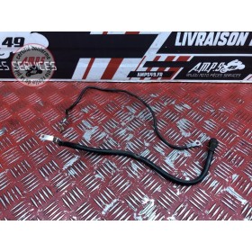 Cable de masse Honda 600 Hornet S 1998 à 2002