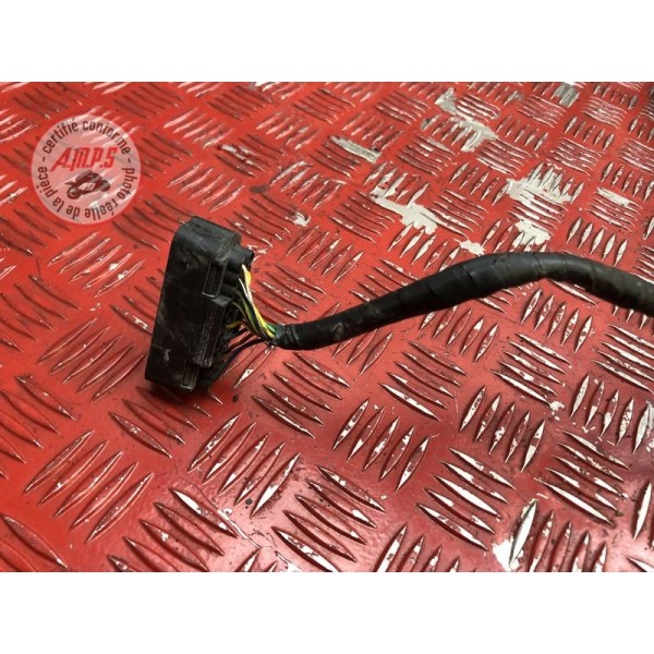 Faisceau électrique principale 
