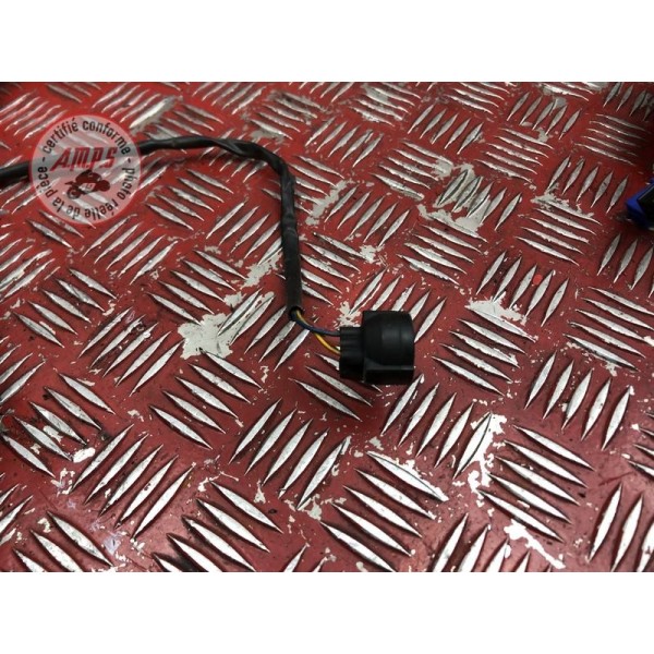 Faisceau électrique principale 