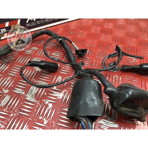 Faisceau électrique principale 