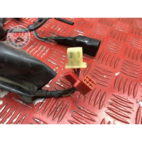 Faisceau électrique principale 