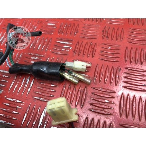Faisceau électrique principale 