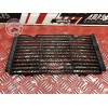 Grille de radiateur Honda 600 Hornet S 1998 à 2002