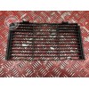 Grille de radiateur Honda 600 Hornet S 1998 à 2002