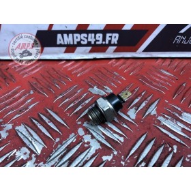 Sonde de température d'eau 