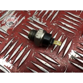 Sonde de température d'eau 