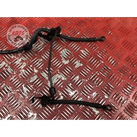 Durite de frein avant 