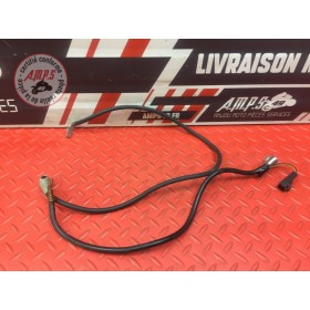 Cable de masse Kawasaki ZX-6R 636 2003 à 2004