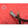 Cable de masse Kawasaki ZX-6R 636 2003 à 2004