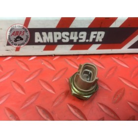 Sonde de température d'eau 