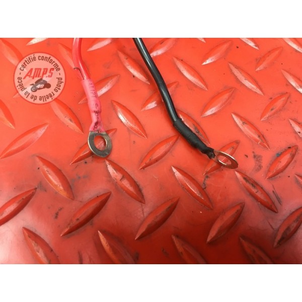 Cable d'alimentation Ducati 1098 SF Streetfighter 2009 à 2013