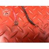 Cable d'alimentation Ducati 1098 SF Streetfighter 2009 à 2013