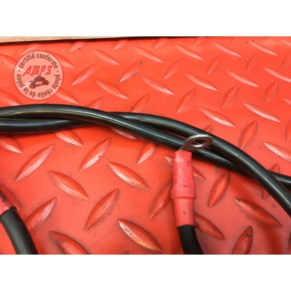 Cable de batterie Ducati 1098 SF Streetfighter 2009 à 2013