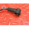 Cable de batterie Ducati 1098 SF Streetfighter 2009 à 2013