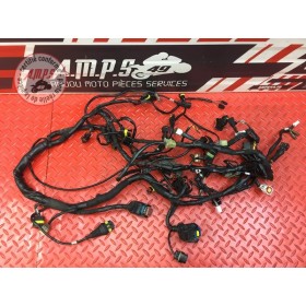 Faisceau électrique principale 