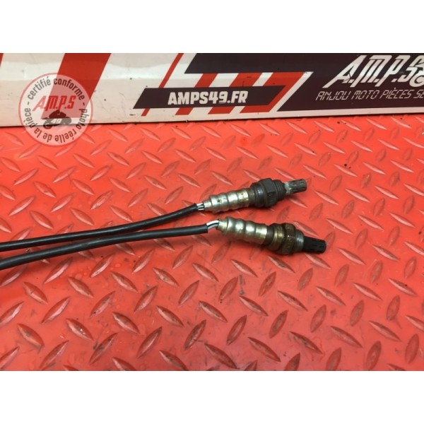 Sonde lambda Ducati 1098 SF Streetfighter 2009 à 2013