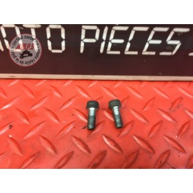 Vis d'etrier arriere 