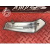 Grille d'ecope de radiateur droit Ducati 1200 Monster 2014 à 2016